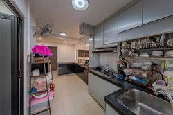 Blk 239 Bukit Panjang Ring Road (Bukit Panjang), HDB Executive #510498941